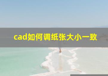 cad如何调纸张大小一致