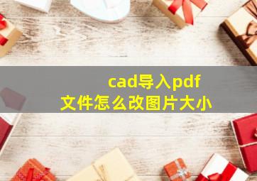 cad导入pdf文件怎么改图片大小