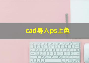 cad导入ps上色