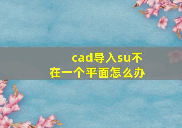 cad导入su不在一个平面怎么办