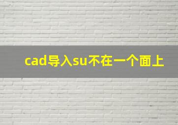 cad导入su不在一个面上