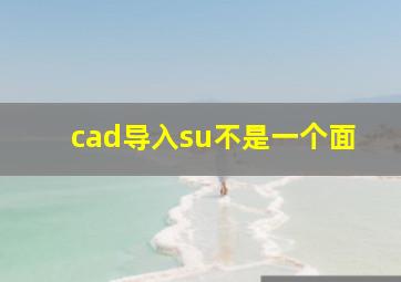 cad导入su不是一个面