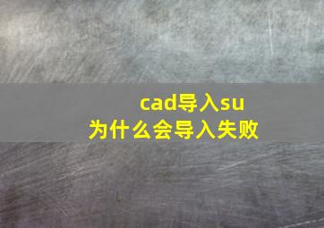 cad导入su为什么会导入失败