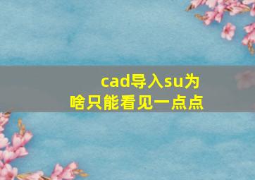 cad导入su为啥只能看见一点点