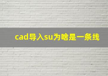 cad导入su为啥是一条线