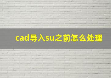 cad导入su之前怎么处理