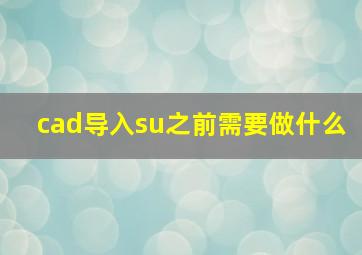 cad导入su之前需要做什么