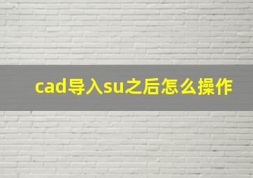 cad导入su之后怎么操作