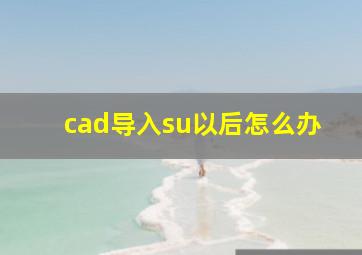 cad导入su以后怎么办