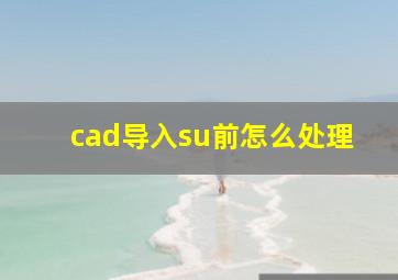 cad导入su前怎么处理