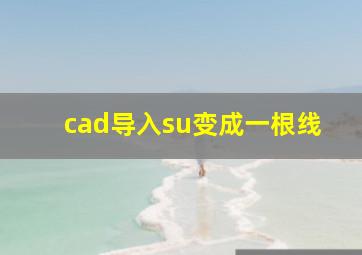 cad导入su变成一根线