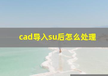 cad导入su后怎么处理