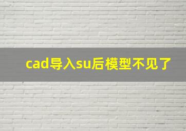 cad导入su后模型不见了