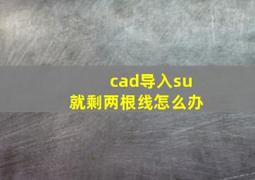 cad导入su就剩两根线怎么办