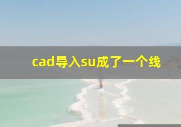 cad导入su成了一个线