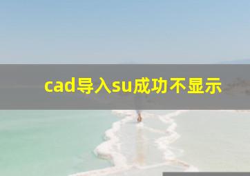 cad导入su成功不显示