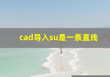 cad导入su是一条直线