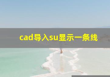 cad导入su显示一条线