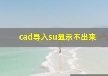 cad导入su显示不出来