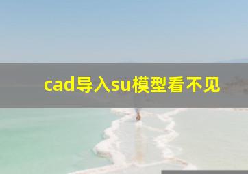 cad导入su模型看不见