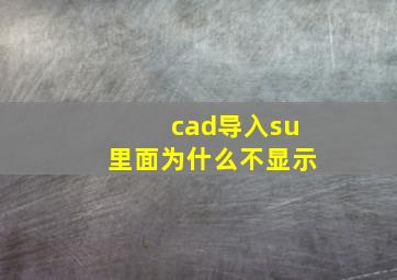 cad导入su里面为什么不显示