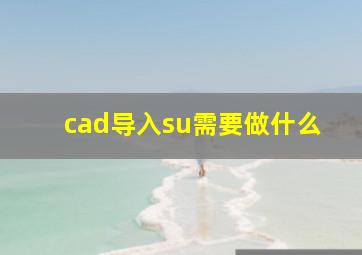 cad导入su需要做什么