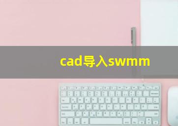 cad导入swmm