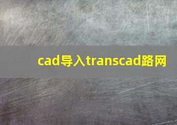 cad导入transcad路网