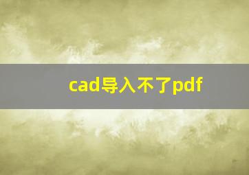 cad导入不了pdf