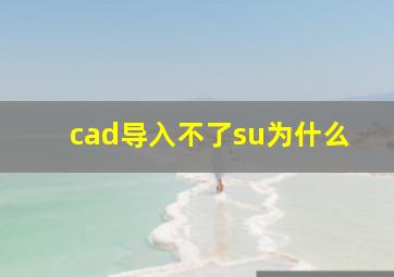 cad导入不了su为什么