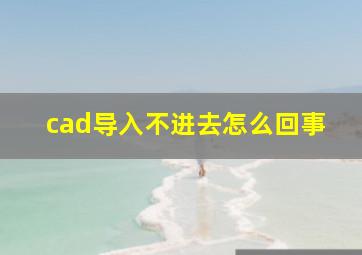 cad导入不进去怎么回事