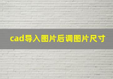 cad导入图片后调图片尺寸