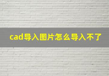 cad导入图片怎么导入不了