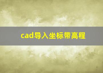 cad导入坐标带高程