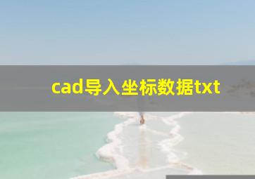 cad导入坐标数据txt