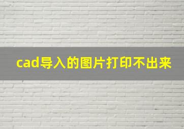 cad导入的图片打印不出来