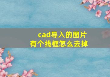 cad导入的图片有个线框怎么去掉