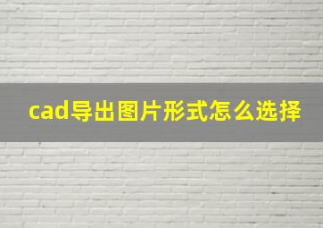 cad导出图片形式怎么选择