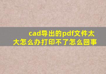 cad导出的pdf文件太大怎么办打印不了怎么回事