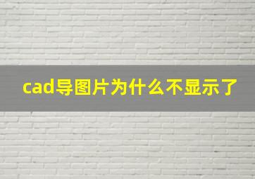 cad导图片为什么不显示了