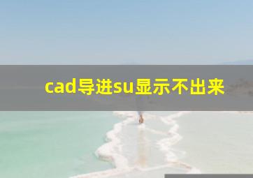 cad导进su显示不出来