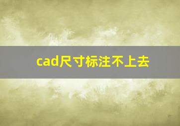 cad尺寸标注不上去