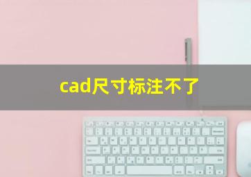 cad尺寸标注不了