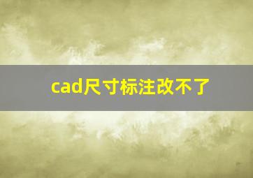 cad尺寸标注改不了