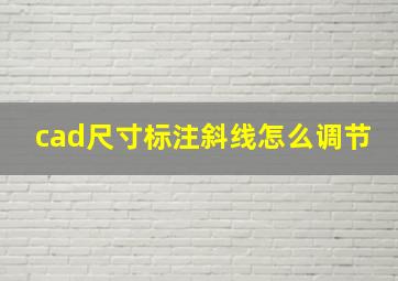 cad尺寸标注斜线怎么调节