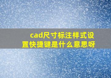 cad尺寸标注样式设置快捷键是什么意思呀