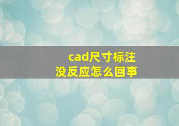 cad尺寸标注没反应怎么回事