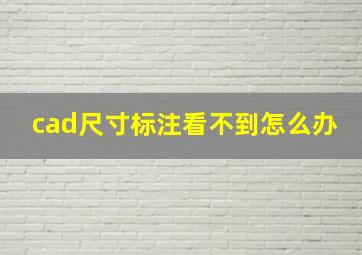 cad尺寸标注看不到怎么办