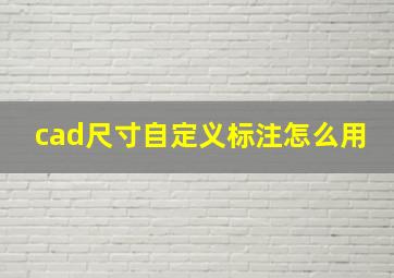 cad尺寸自定义标注怎么用