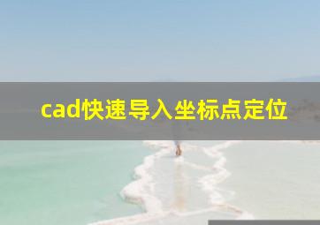 cad快速导入坐标点定位